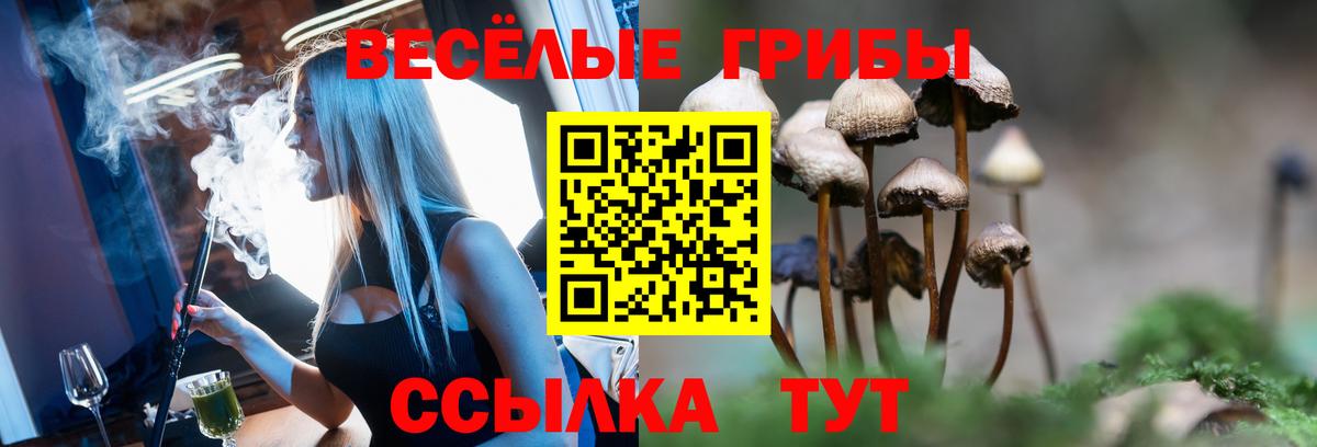 Галлюциногенные грибы Psilocybine cubensis  Вход с VPN  как найти закладки  Нефтеюганск 